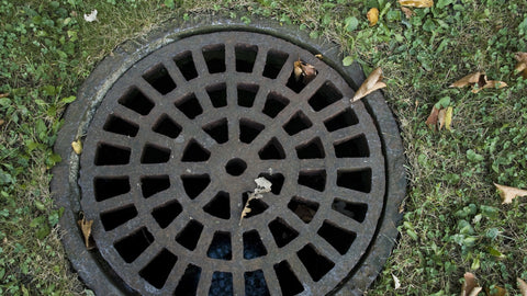 A drain cover