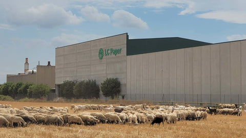 Naked Sprout factory with sheep grazing