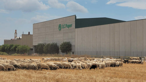 Naked Sprout factory with sheep grazing in a field nearby