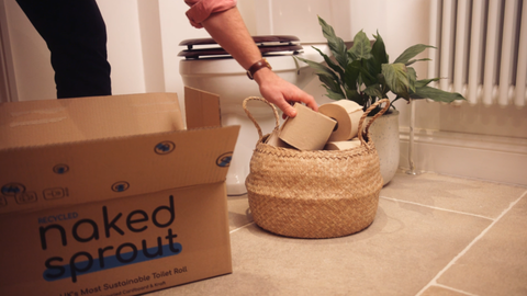 Naked Sprout recycled toilet rolls