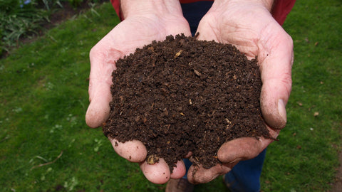 hands holding compost