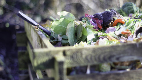 a compost heap