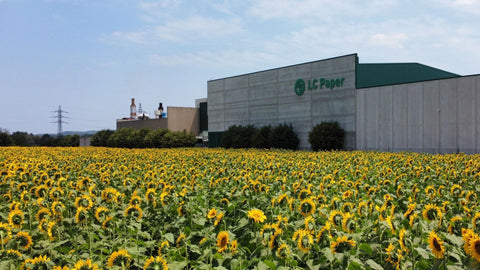 factory with sunflowers