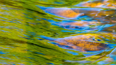 Green trees and the sky reflected in a river