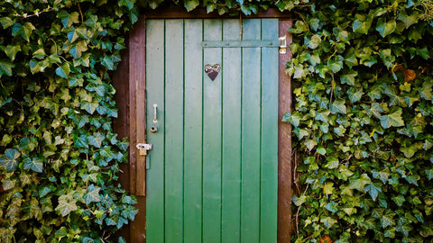 A green outhouse door