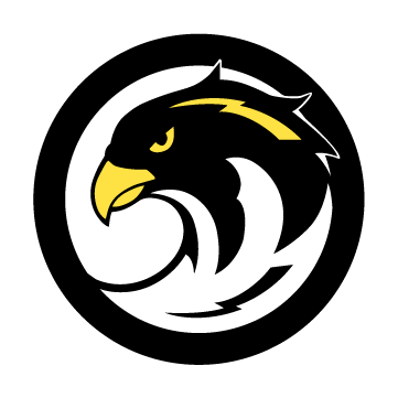 Falcons Logo