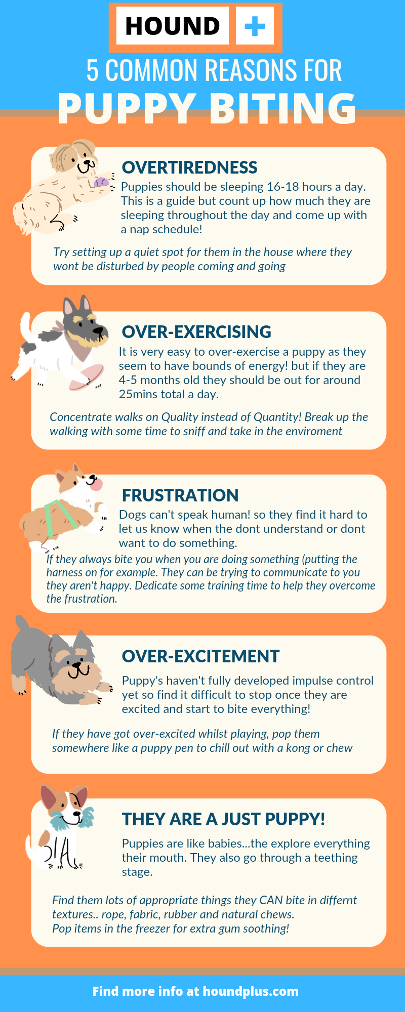 puppy biting infographic