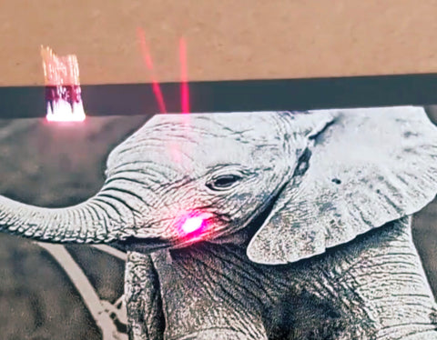 Belltec Designs, Elephant, fiber marker, laser machine, DIY