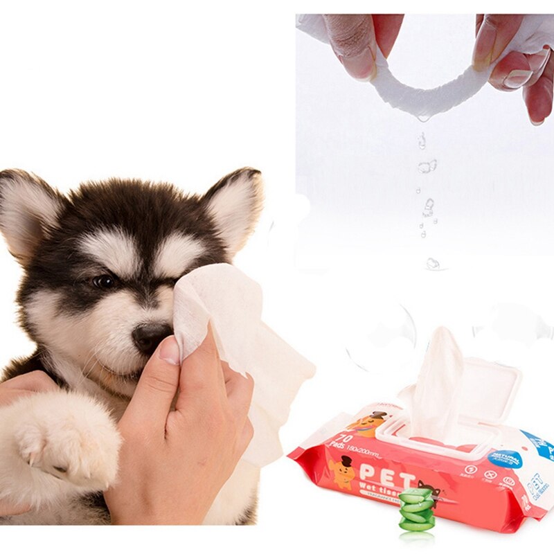 pet wet wipes