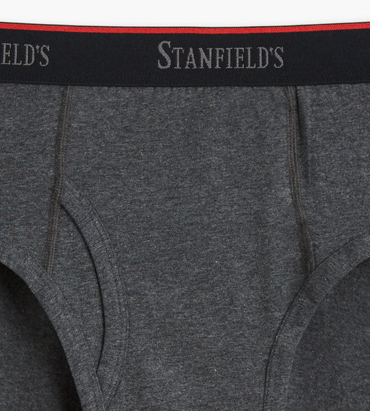 Stanfield's Men's 3 Pack Premium Cotton Regular Rise Briefs Underwear 