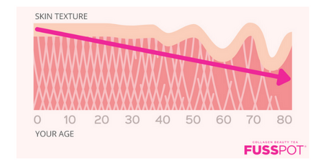 Collagen loss in skin, ageing skin collagen loss