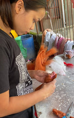 Close-up of a bunny felt finger puppet being held and inspected by a young woman in Nepal.