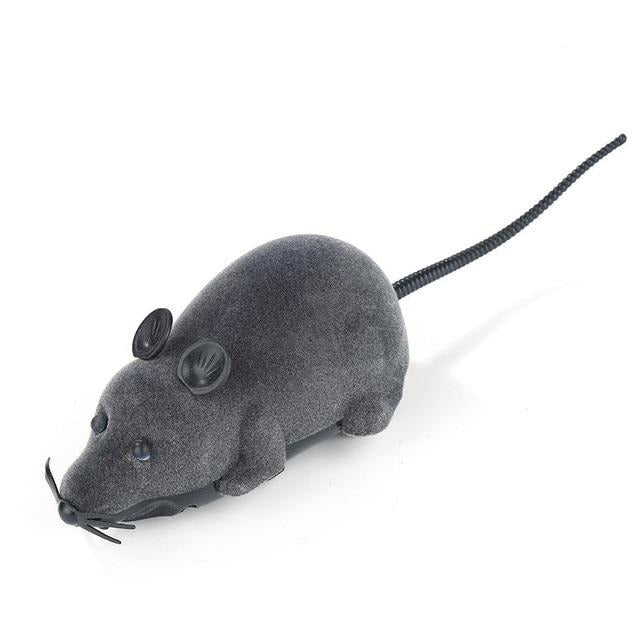 remote control mouse toy