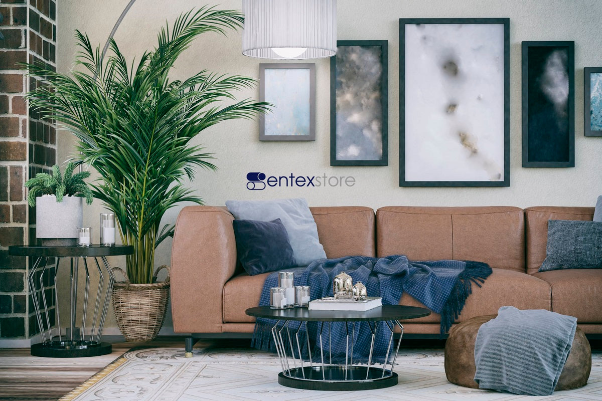 Artículos esenciales para la decoración de tu casa – EntexStore - design &  toys