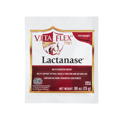 Lactanese Horse Supplement