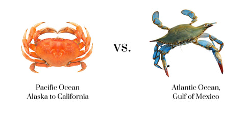 Coast to Coast Crab Battle: Dungeness Crab vs. Blue Crab – Premier