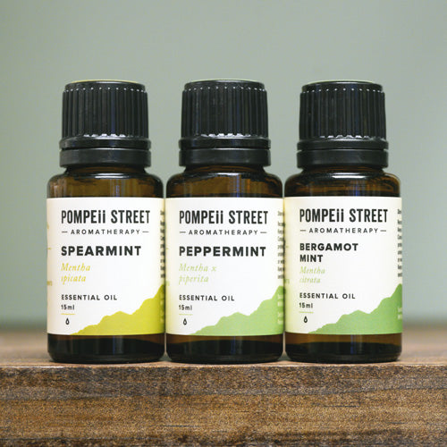 Mint Essential Oil Set, 15 mL