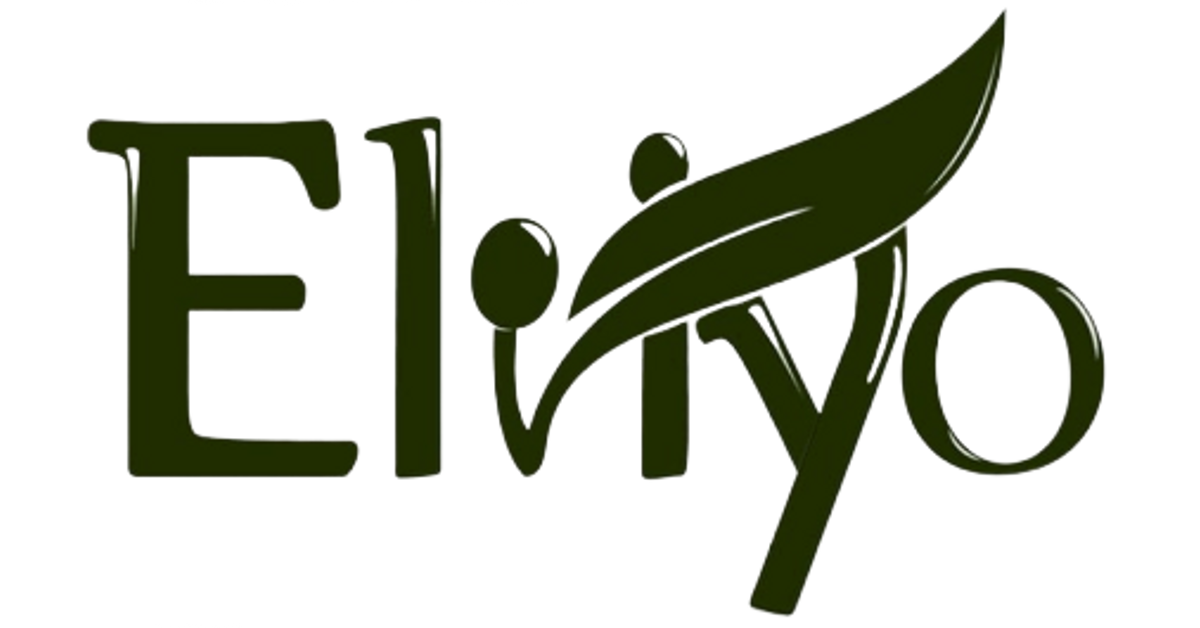 elviyo.com