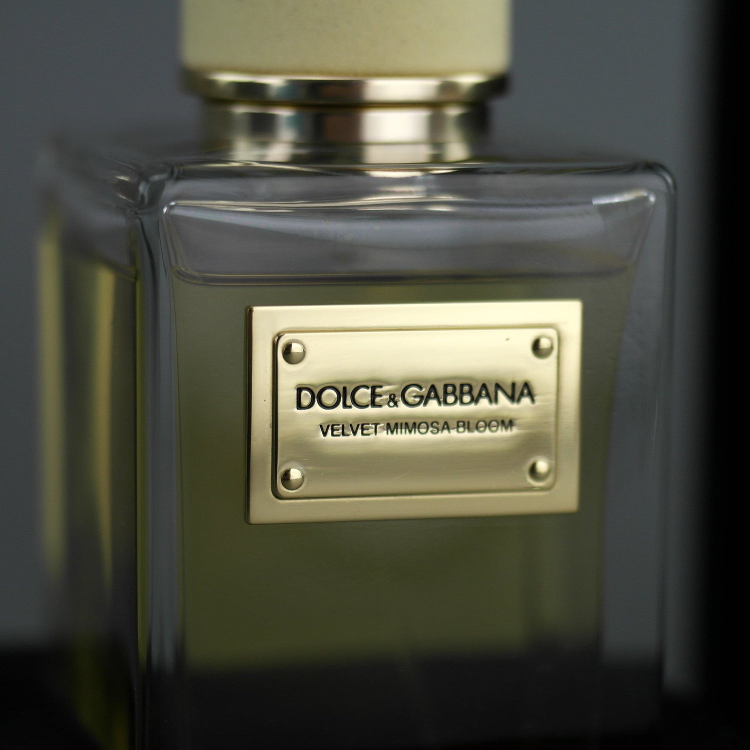 DOLCE & GABBANA Velvet Mimosa Bloom Eau de Parfum 150ml – Zolotareff