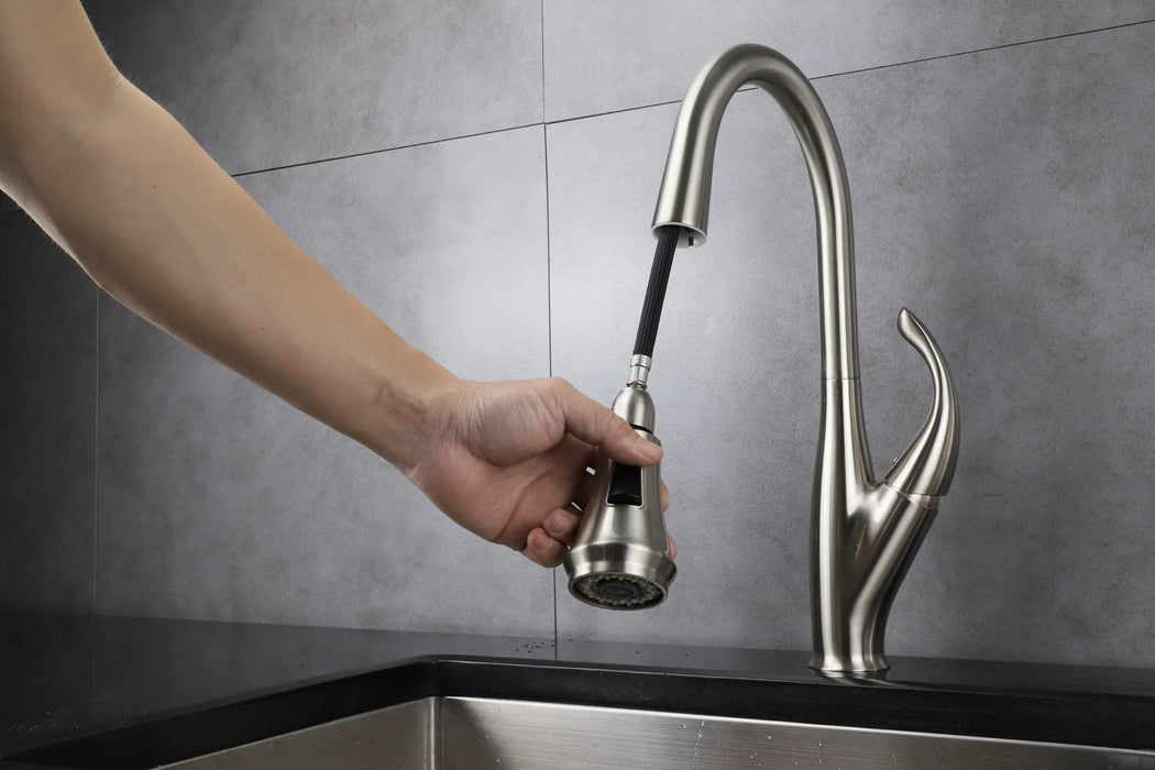 LEXORA Garbatella Brass Kitchen Faucet w/ Pull Out Sprayer - Brushed Nickel