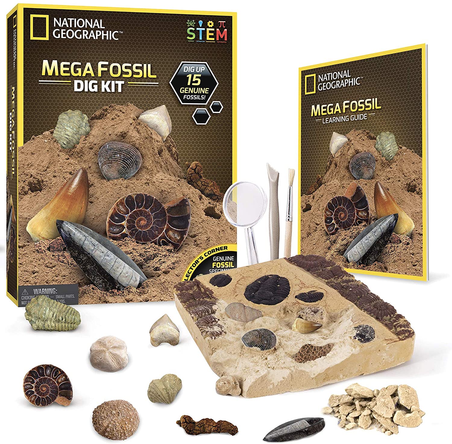 paleontologists for kids