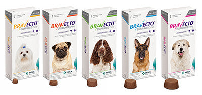 Bravecto Flea/Tick Chewable for Dogs (1 