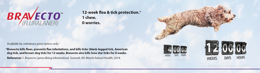 are chewable flea and tick safe for dogs