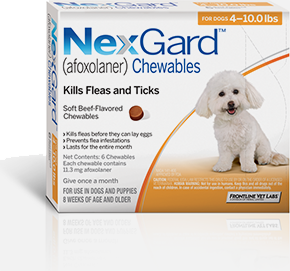 is there an oral flea and tick pill for dogs