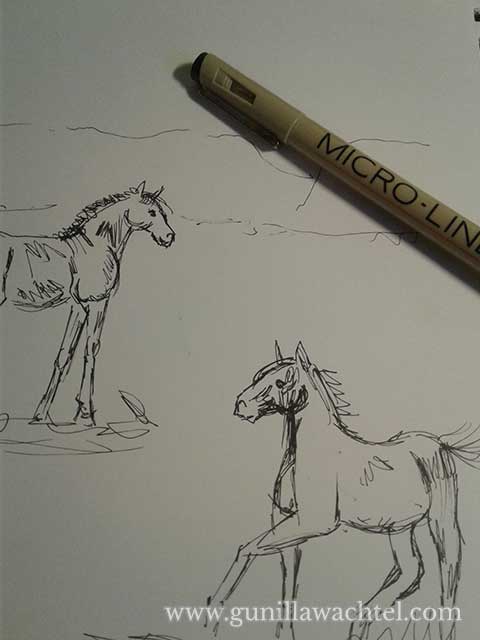 Horse art drawing sketch Gunilla Wachtel