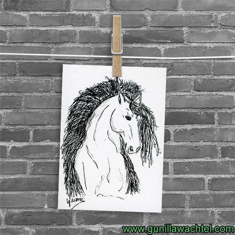 Friesian Horse ACEO card