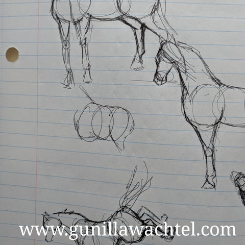 Horse sketches by Gunilla Wachtel