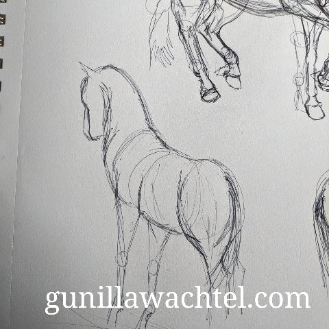 Gunilla Wachtel horse art sketch