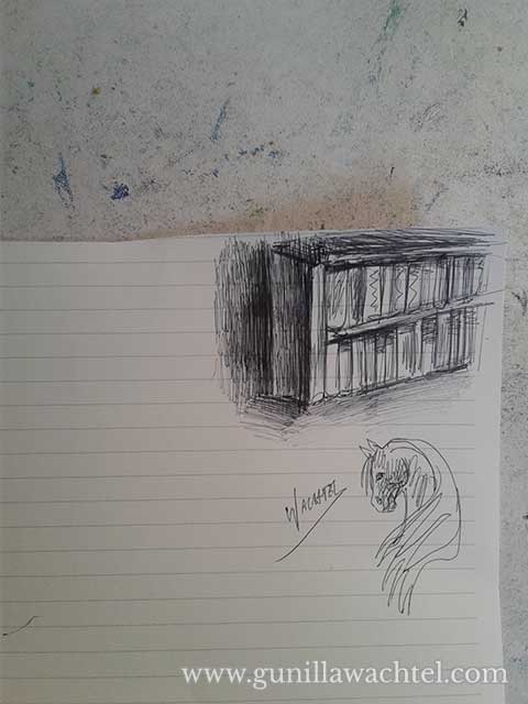 Bookcase pen sketch Gunilla Wachtel