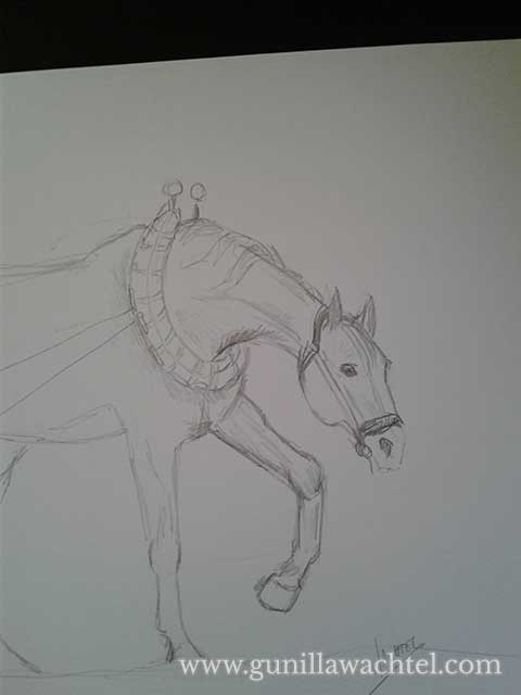 Horse sketch by Gunilla Wachtel