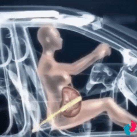 Dispositif de ceinture de sécurité de grossesse - MOMY SAFETY – Nayliss
