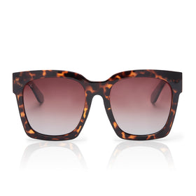 | anonymous sunglasses Optics gradient brown optics - – + dime tortoise Dime