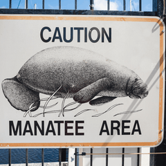 Caution Manatee Area Sign