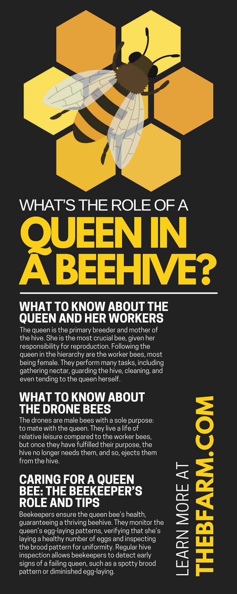 What’s the Role of a Queen in a Beehive?