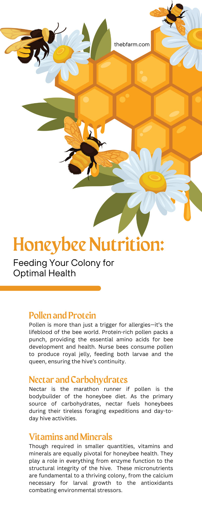 Honeybee Nutrition: Feeding Your Colony for Optimal Health