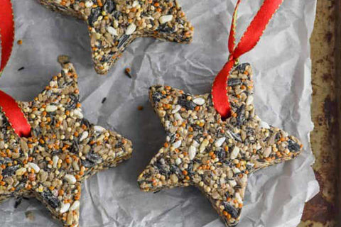 christmas cake bird feeder