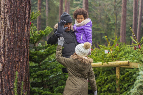 forestry england christmas trees