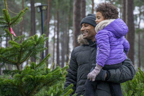 cannock chase forest christmas trees