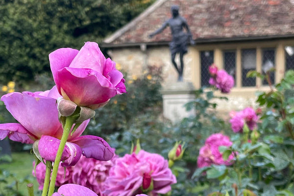 anglesey abbey