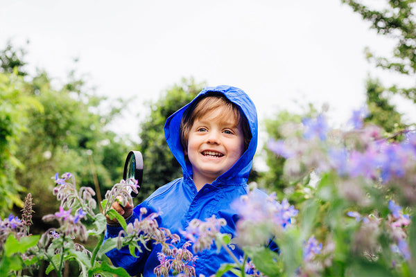 boy searching for bugs