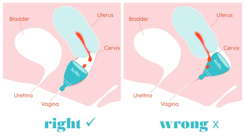 How to insert your menstrual cup