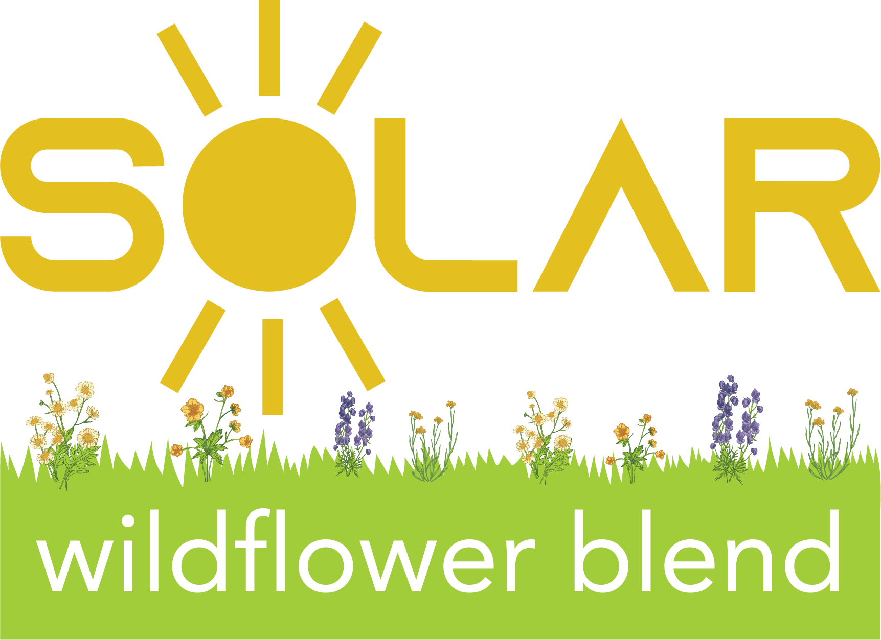 Solar Wildflower Blend