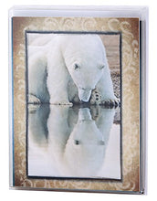 5x7 Polar Bear Note Cards Set of 16 (16)