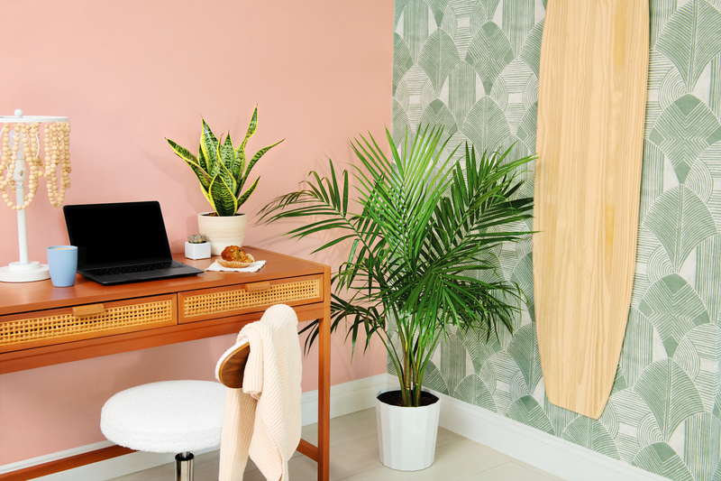Palms used as houseplants in a home office