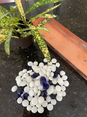 How to Make a Pebble Tray for Plants