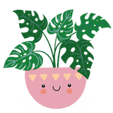 Illustration of Mini Monstera houseplant in pink pot